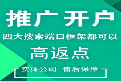 SEM推广代运营案例深度剖析