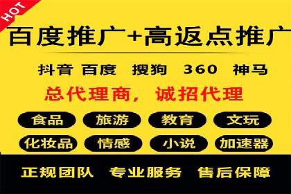 某电商平台的SEM策略与效果展示